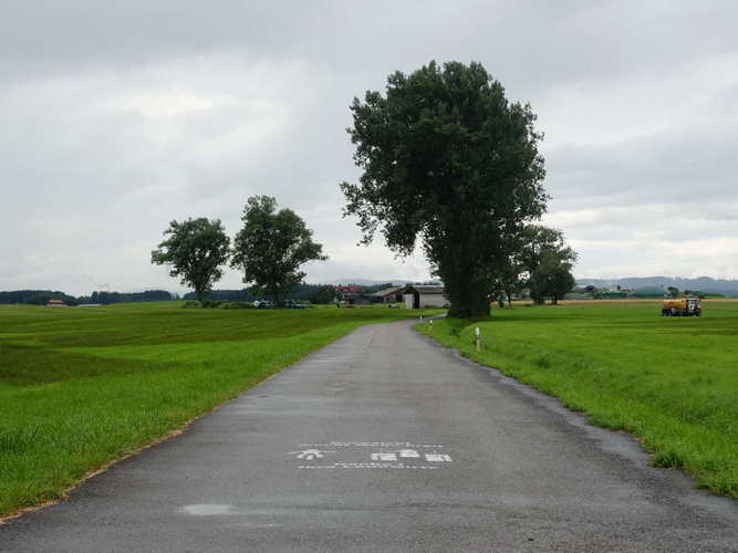 ROMANTISCHE_2024-07-22 16-38-18_RX100263